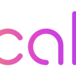 apa fungsi Scale AI